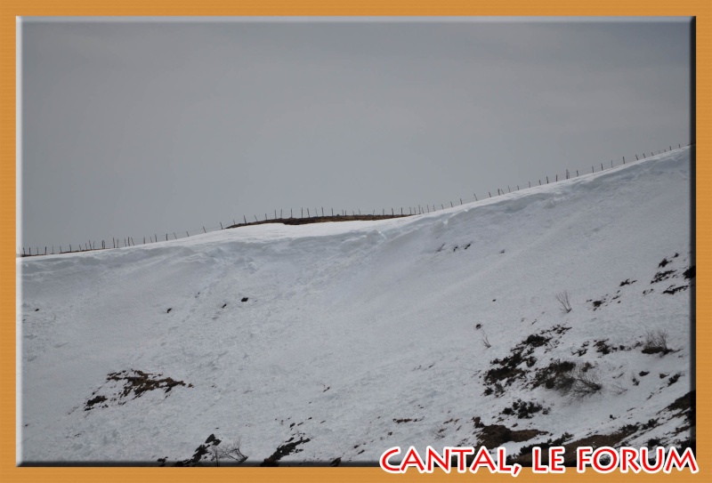 Le Plomb du Cantal Dsc_0215