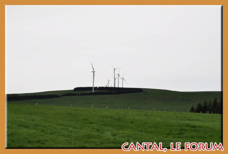 Le cézallier en Avril 2011 Dsc_0516