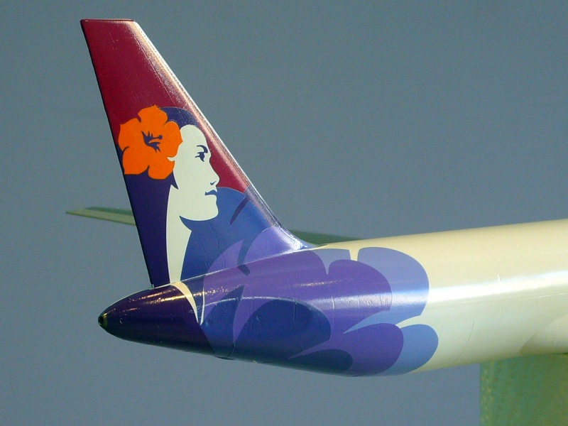 [Concours Liners] Boeing 767-300 Zvezda 1/144 Hawaiian Airlines - Page 3 Fuse_623