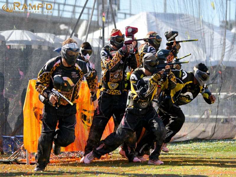 Le paintball & le Speedball Joy-di10