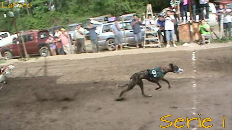 GRAN CAMPEONATO NACIONAL REQUINOA 2012 -- CLASIFICACION 02/DE DICIEMBRE FINAL 16/12/2012 - Página 8 M2u02410