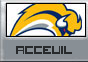 Accueil