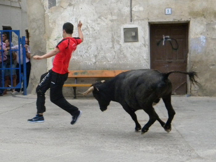 PLASENCIA DE JALON (SESIÓN DE VAQUILLAS DE "EL RUISEÑOR") 2013