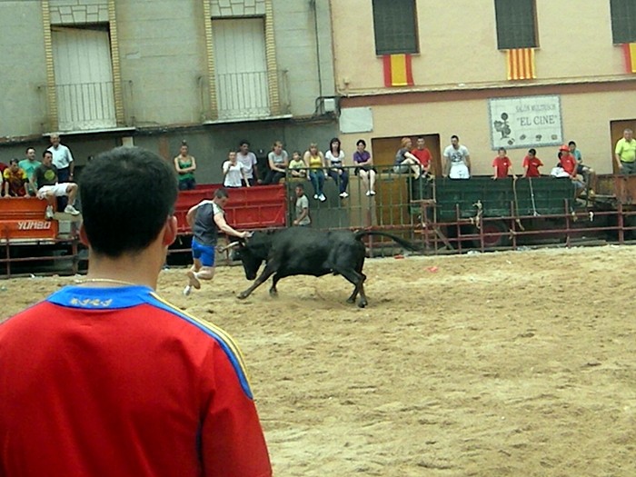 ALPARTIR (ZARAGOZA) GANADERIA DE JOSE LUIS CUARTERO 2610