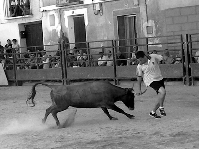 SESTRICA (ZARAGOZA) SESIÓN DE VAQUILLAS DE EL RUISEÑOR 30310