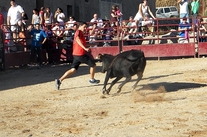 TIERGA (SESION DE VAQUILLAS DE ALFONSO BAENA) 412