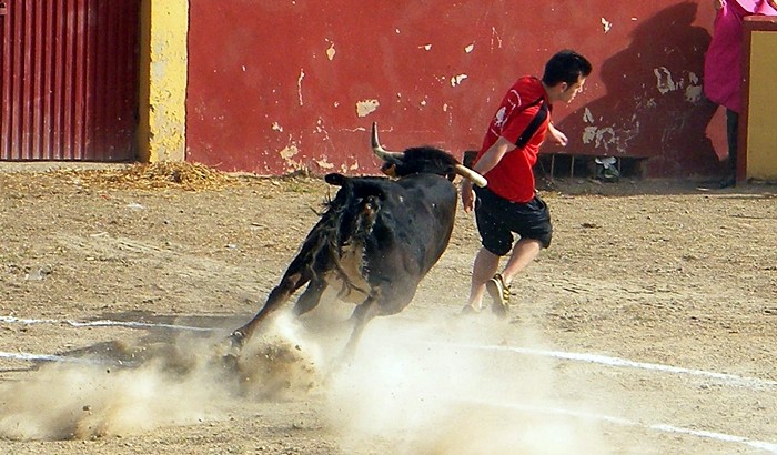 LONGARES (ZARAGOZA) SESION DE VAQUILLAS DE JAVIER SORIA 417