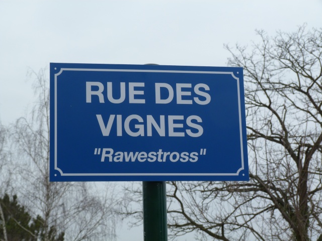 Rue des vignes P1030710