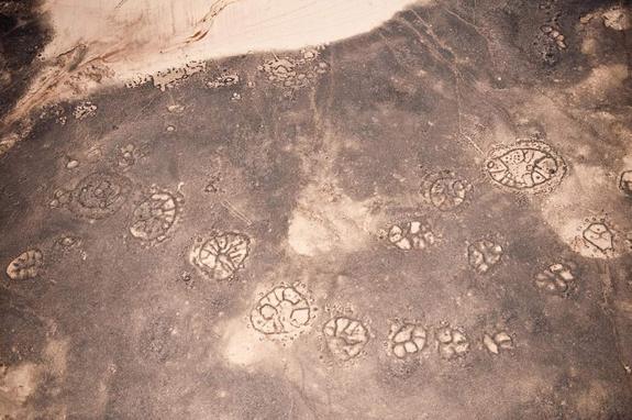 [Archéologie - Géoglyphes] Les roues de Jordanie et de Syrie Majinm10