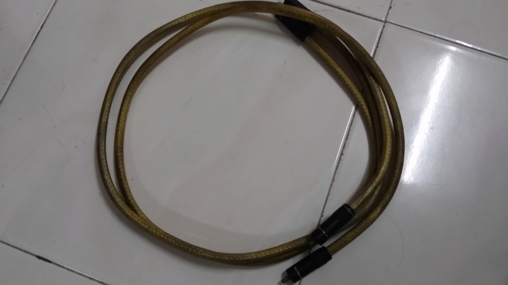 Van Den Hul The Source audio cable 20191010