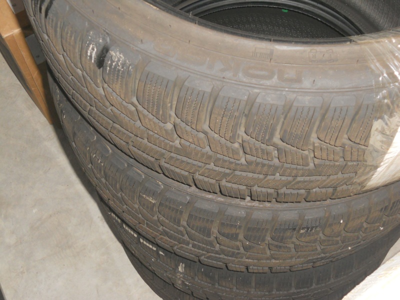 NOKIAN WR G2 Giusta10