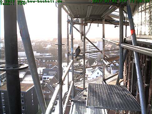 Bocholt 2012 Webcam18