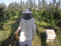 حماية نفسك مع البدلة تربية النحل Apifla11