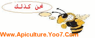فائزة صالح عبد الله أول يمنية تتخصص في تربية النحل وفي الاستفادة العلاجية من العسل Mohtar11