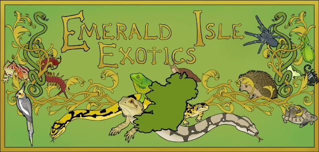 Emerald Isle Exotics Emeral11