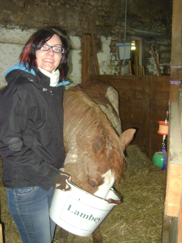 WALANIE (VANILLE) - ONC poney - adoptée en avril 2011 par voulk  - Page 5 05010
