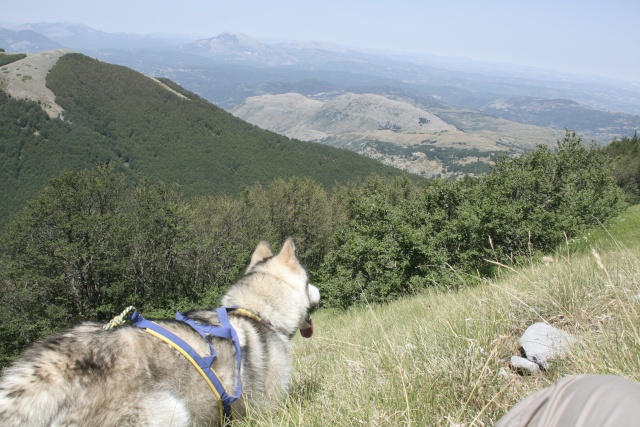 Parco Nazionale del Pollino - Serra del Prete Immagi18