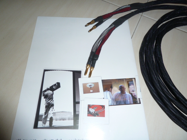 Zu audio Gauge speaker cables 3m pair (SOLD) P1020812