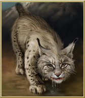 Update br.2 na Gladiatusu Lynx11