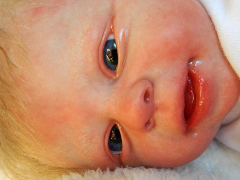 Concours reborning : votez pour le plus beau bébé 0361010