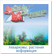 Интернет-магазин аквариумистов