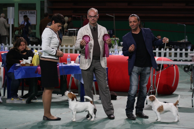 Raduno/Campionato Sociale Terrier Colle Val d'Elsa 2011 - Pagina 3 Img_5910
