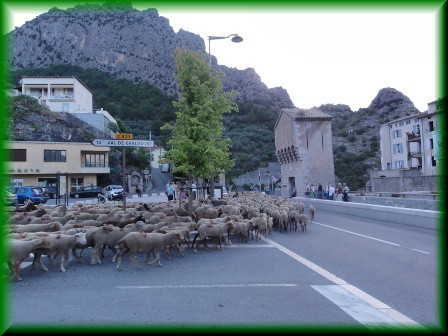 La transhumance 1412