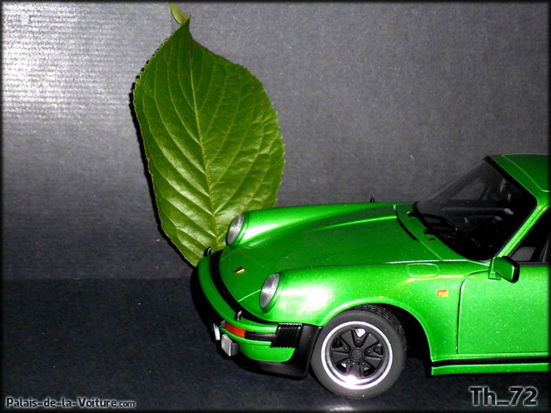 [1/18 de série] Porsche 911 (930) Turbo Dscn9118