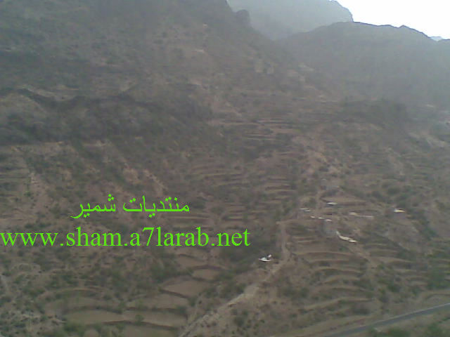 وادي المثانيه منطقه شمير  20110811