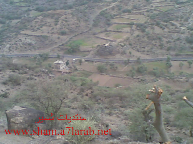 وادي المثانيه منطقه شمير  20110813