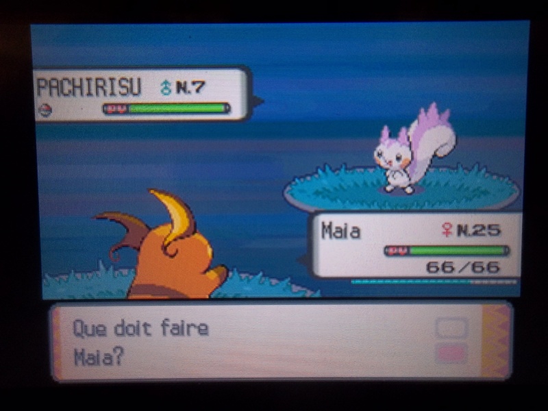 Soirée Pokéradar V2 - Chaque samedi soir - - Page 6 100_1714