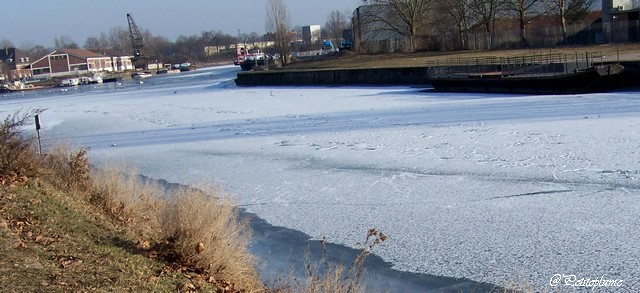 Balade le long du canal gelé  12fevr15