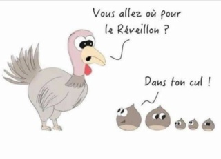 Humour en image - Page 12 Dinde_11