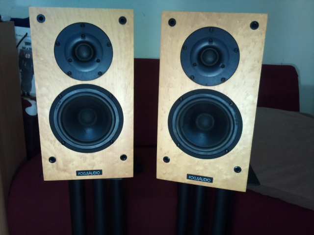 Focus Audio FC10 standmount speakers (sold) Dsc_0018