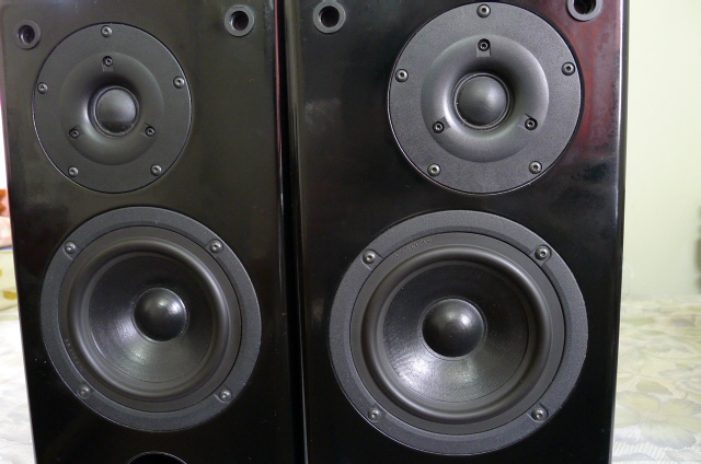 Custom made standmount speakers (sold) P1040911