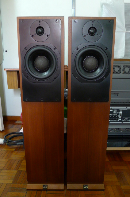 ATC SCM 20T floorstanding speakers (sold) P1050128