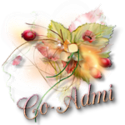 Co-Admi Co-Admi