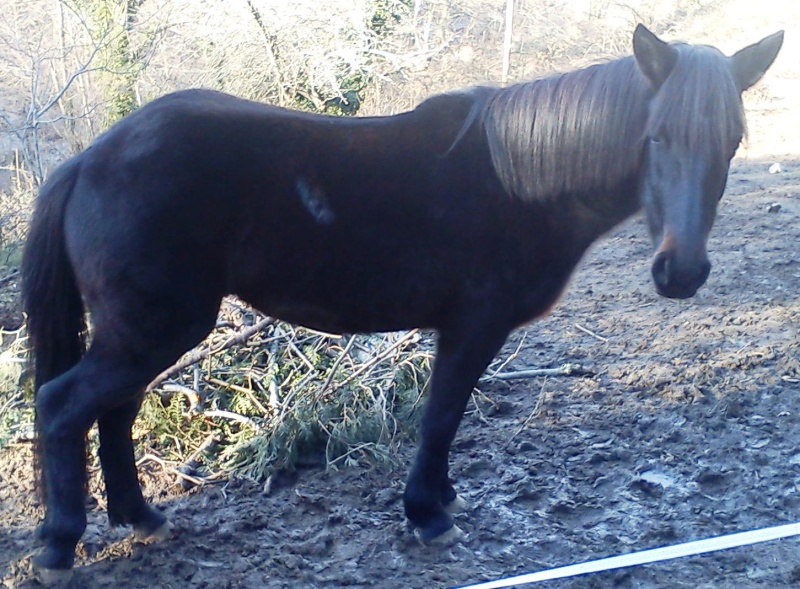 nouvelle de kira Dsc00132