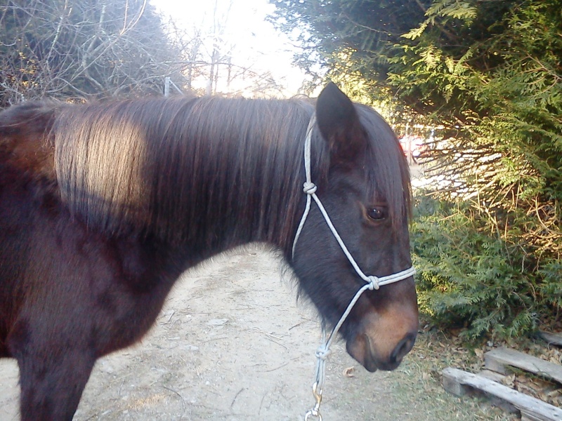 nouvelle de kira Dsc00135