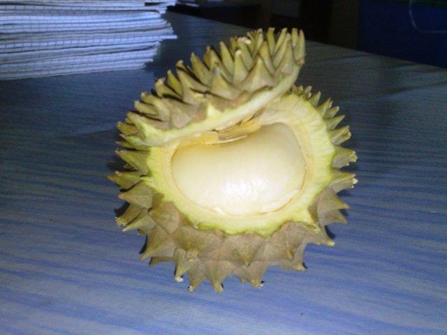 durian - 'demam' durian... 28072013