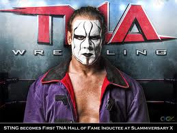 Triple H quiere a Sting en la WWE Tna10