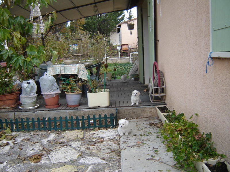 Mon Jules - Page 6 00324