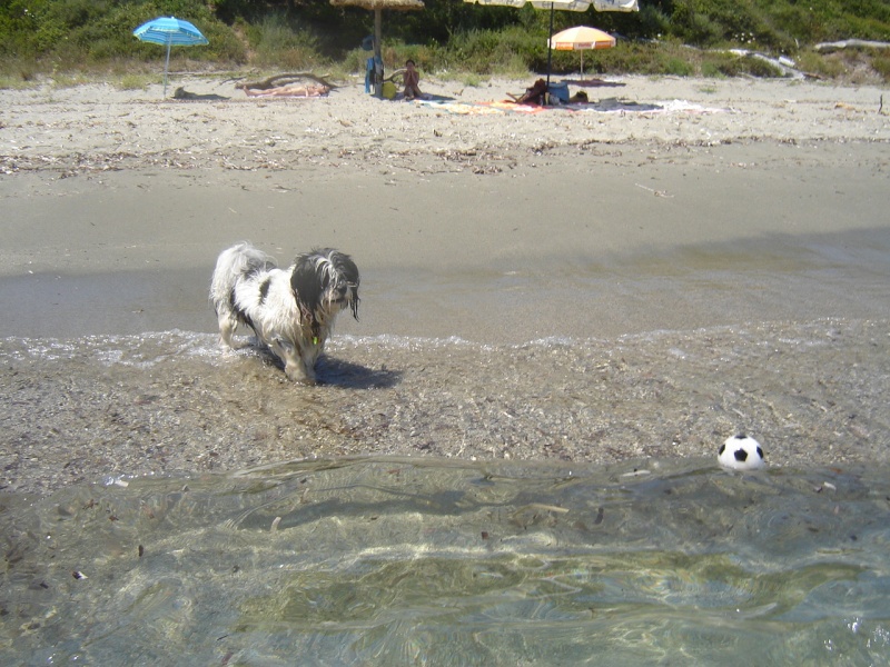 Monsieur Jules à la plage 16910