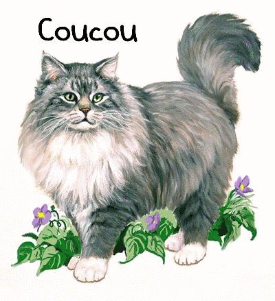 BONJOUR !! - Page 2 F741d110
