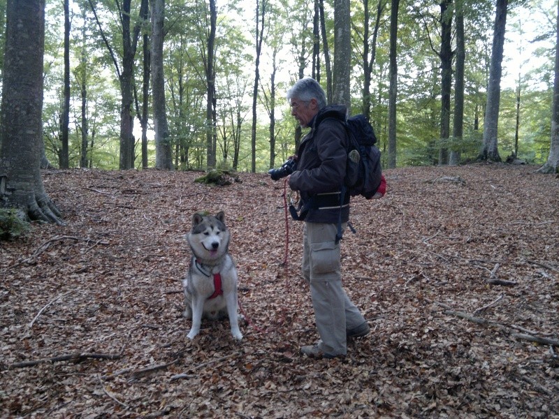 Dog Trekking Friend's - Terre di Toscana - Pagina 2 01811