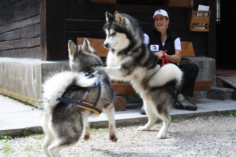 Dolomiti 2011 Img_1616