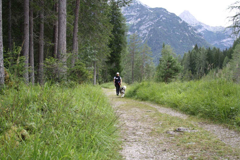 Dolomiti 2011 Img_1710