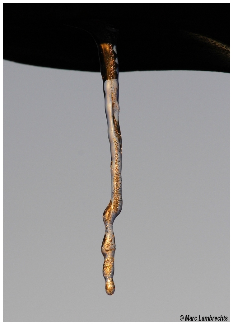 Une stalactite (du grec stalaktos - "qui coule goutte à goutte") Stalac10