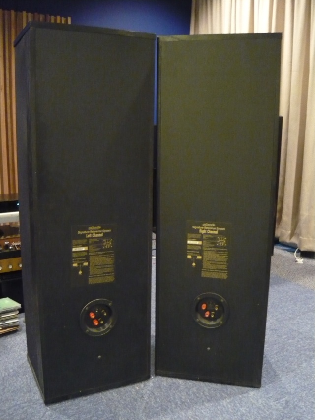 polkaudio SRS 3.1TL floorstand speaker (used) SOLD P1060634