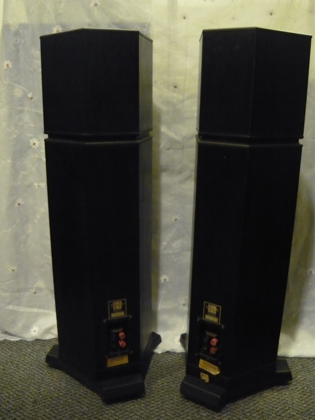 Tannoy 615 MKII floorstand speaker (used) SOLD P1070211